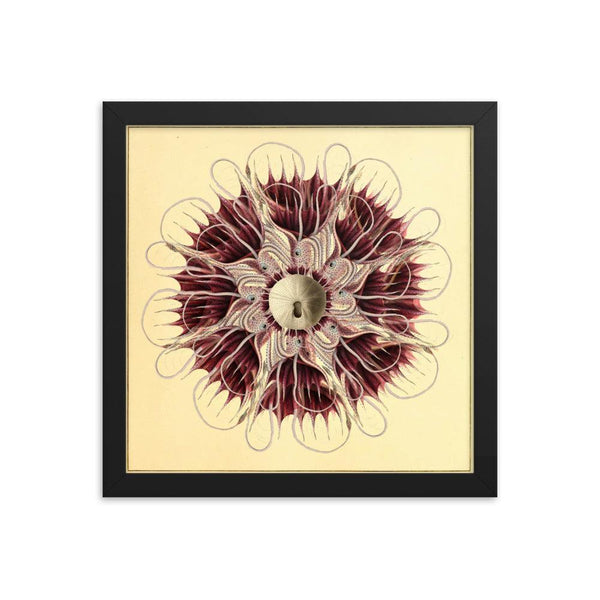 Ocean Symphony - FUSION ARTISTERO